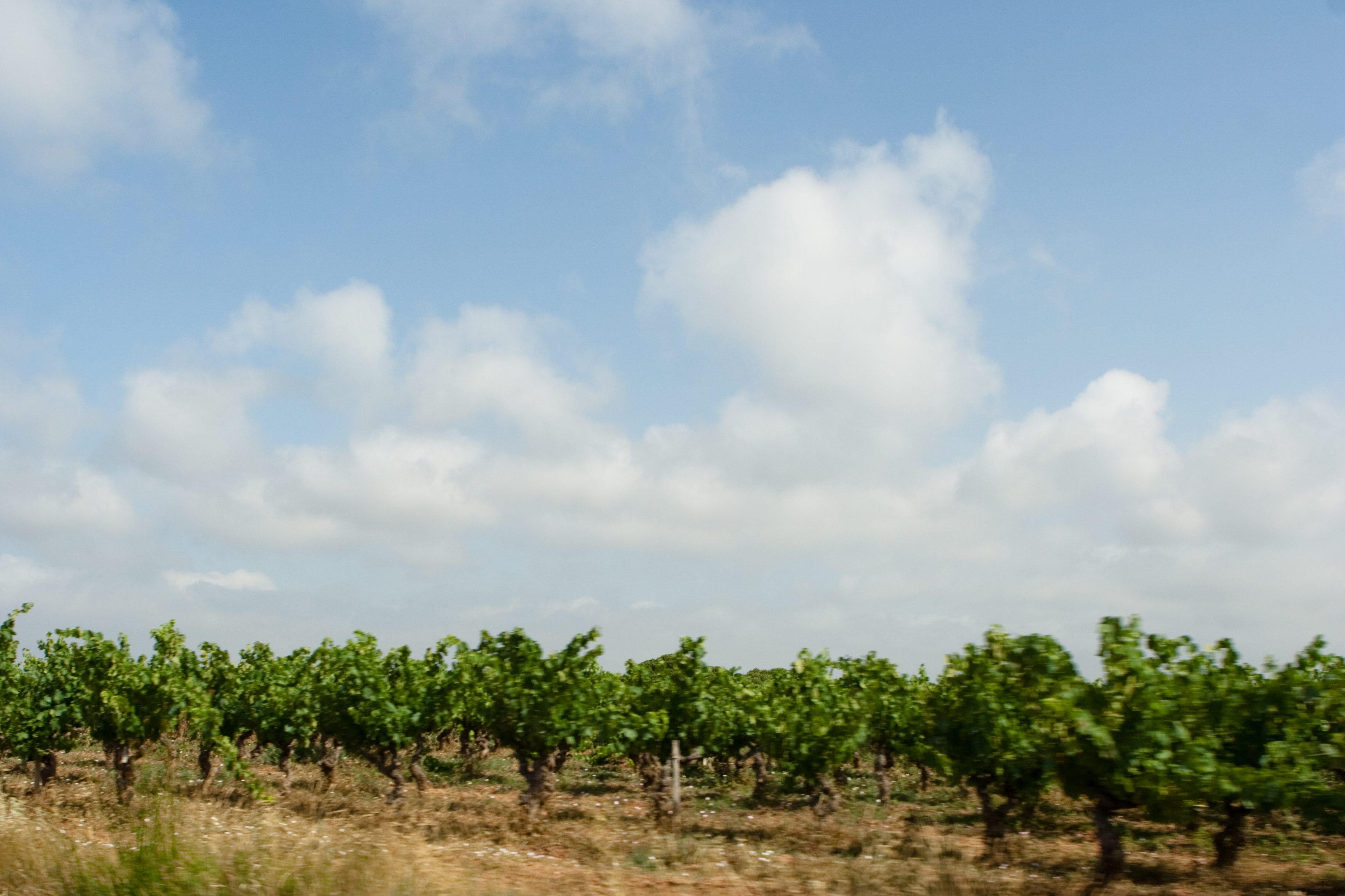 vakantie 2009 wijnproeven-007.jpg